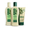 Kit Antiqueda Jaborandi (250mL) Shampoo, Condicionador e Finalizador