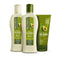 Kit Pós-Química (250mL) Shampoo, Condicionador e Finalizador
