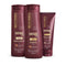 Kit Shitake (350mL) Shampoo, Condicionador Finalizador Termoprotetor