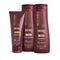 Kit Shitake (350mL) Shampoo, Condicionador e Finalizador Noite/Dia