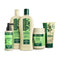 Kit Antiqueda Jaborandi (500mL/g) Linha Completa