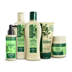 Kit Antiqueda Jaborandi (250mL/g) Linha Completa